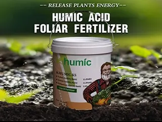 Liquid humic acid fertilizer: High-purity concentrated biostimulant for efficient agriculture
