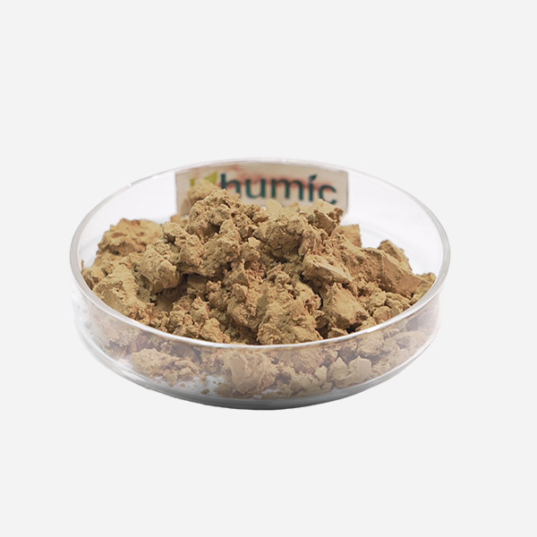 Seaweed Oligosaccharide