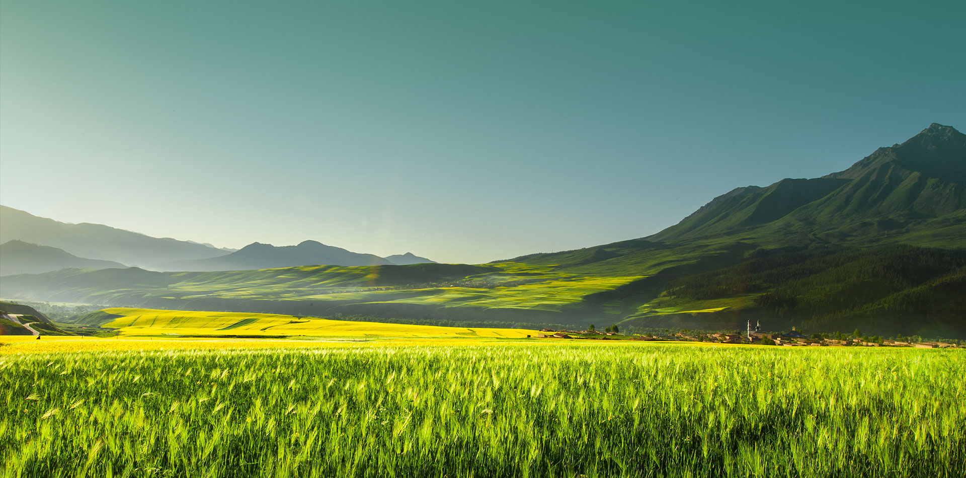 Zhengzhou ShengDa KHUMIC Biotechnology Co.,Ltd.