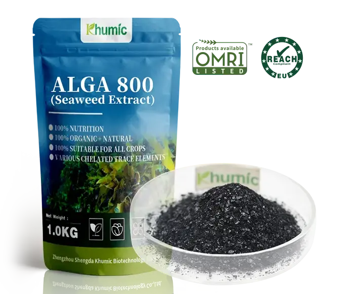 Alga 800: Premium Ascophyllum Nodosum Seaweed Extract (100% Soluble)
