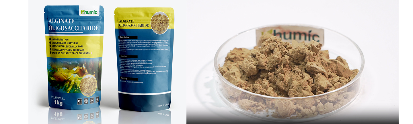 Seaweed Oligosaccharide