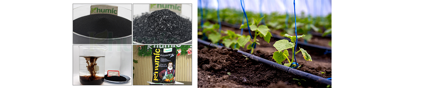 fulvic-acid-fertilizer