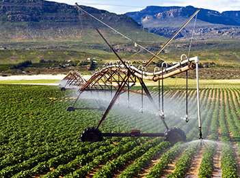 The good choice for foliar spraying and drip irrigation: Leonardite source Fulvic Acid(FulvicMax)