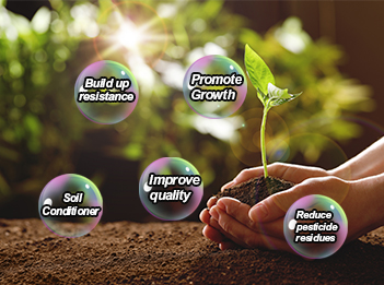 What  Are The Functions Of Potassium Humate?