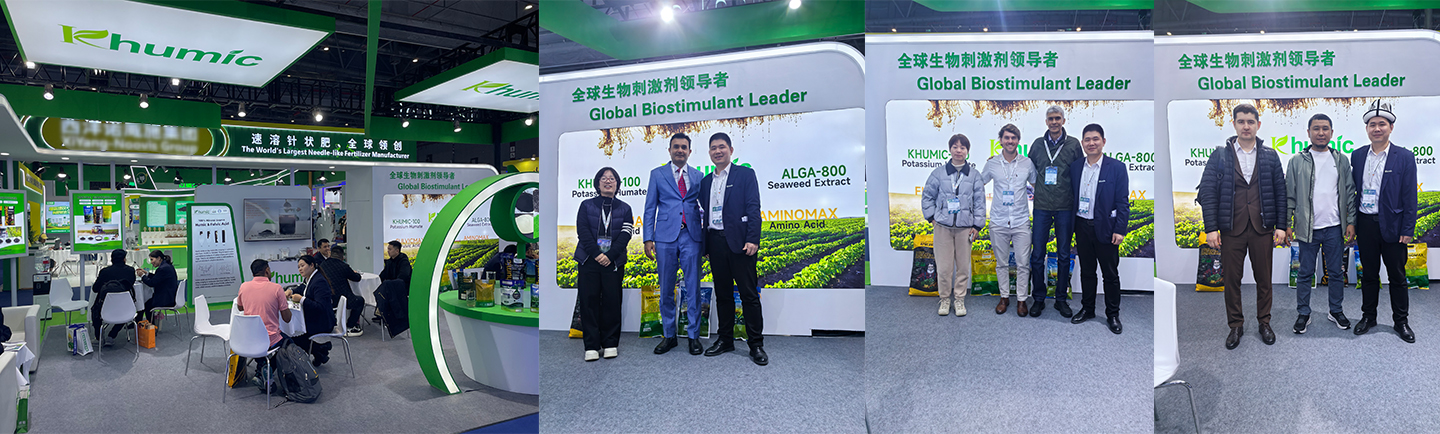 shanghai CAC exhibition