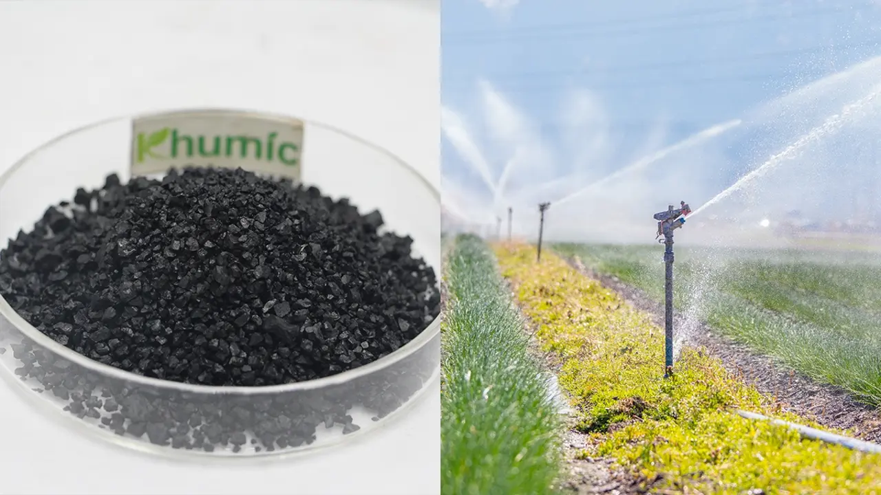 Mineral-source fulvic acid application for foliar spraying to enhance crop growth and nutrient absorption - KHUMIC GROUP
