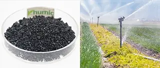 Mineral-source fulvic acid application for foliar spraying to enhance crop growth and nutrient absorption - KHUMIC GROUP