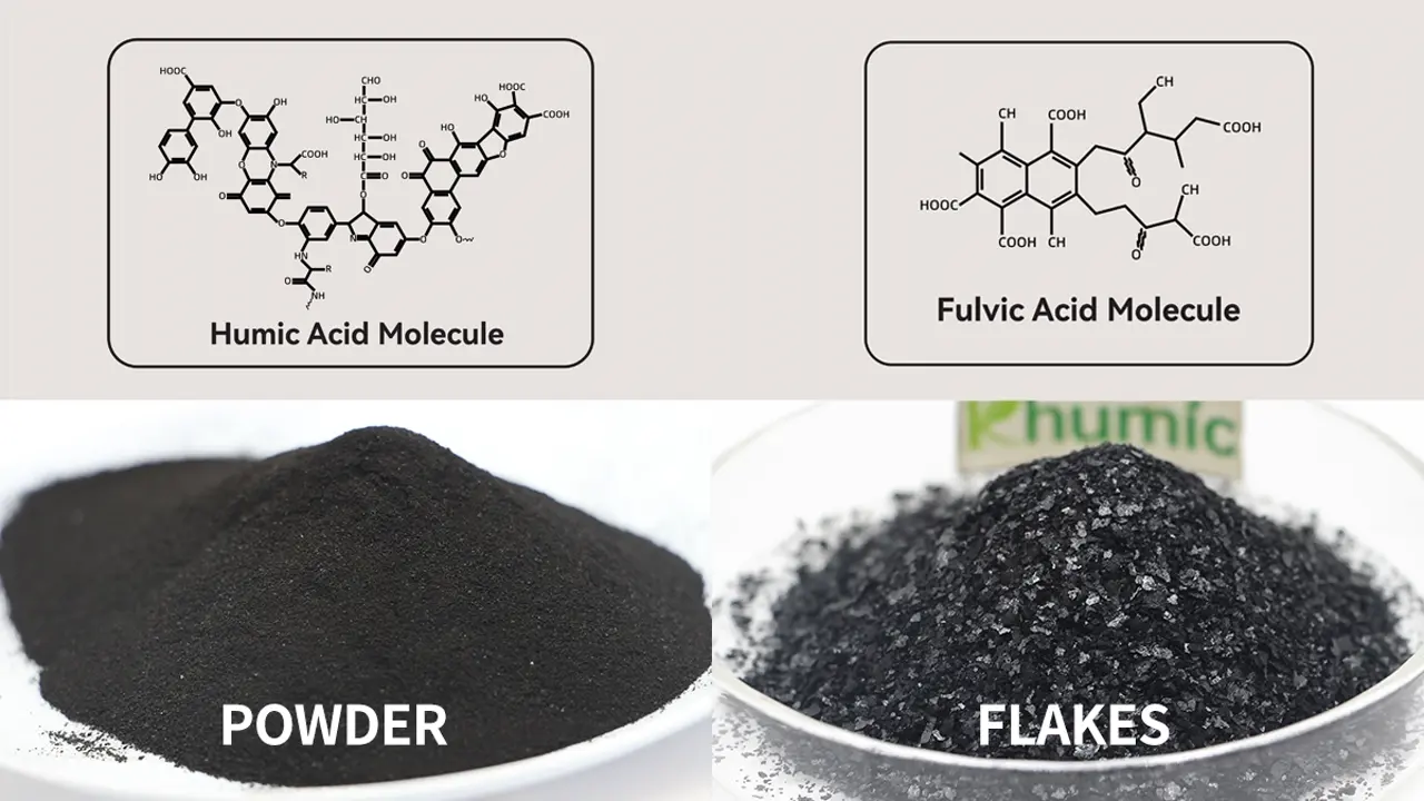 Humic Acid vs Fulvic Acid: Comparing potassium humate and active fulvic acid powder - KHUMIC GROUP