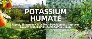 Organic fertilizer benefits: Potassium Humate application for crop yield enhancement and soil health - KHUMIC GROUP