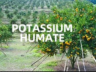 The Strategic Benefits of Potassium Humate in Advancing Modern Sustainable Agriculture