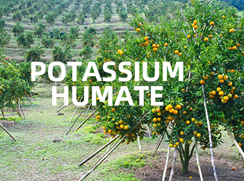 Benefits of Potassium Humate in Modern Agriculture