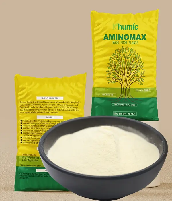 Amino Acid