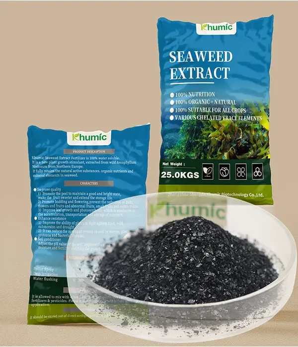 Seaweed Extract