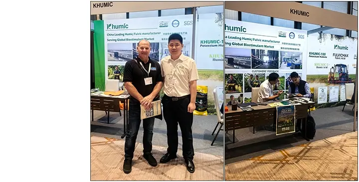 Global Supply & Strategic Partnership