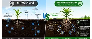 Infographic comparing Nitrogen Use Efficiency (NUE) with and without Potassium Humate showing reduced leaching and better root growth